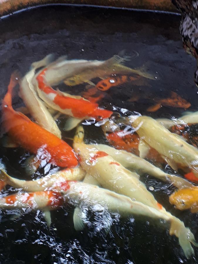 彭辛度假村和餐厅 Khun Han 外观 照片