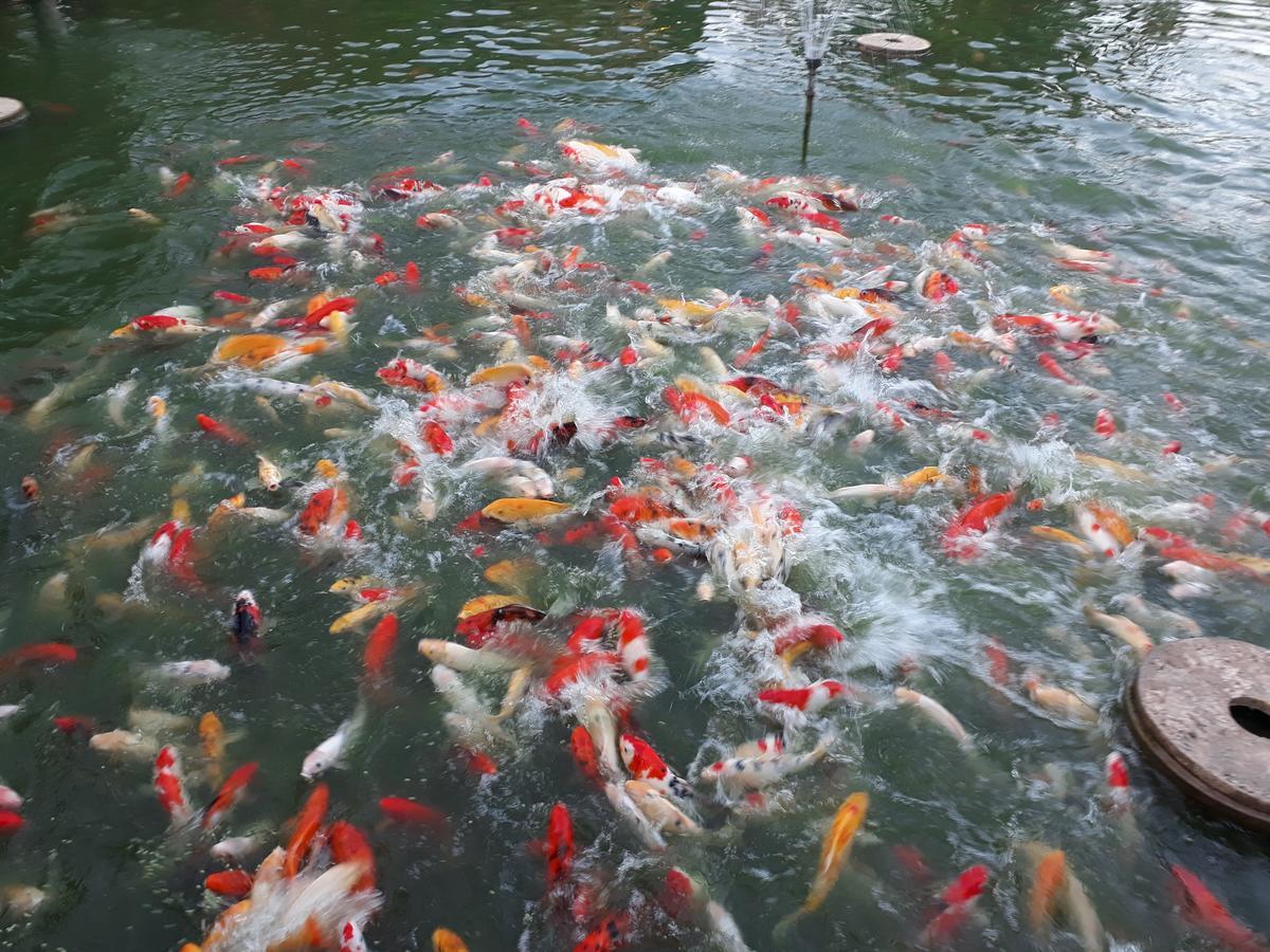 彭辛度假村和餐厅 Khun Han 外观 照片